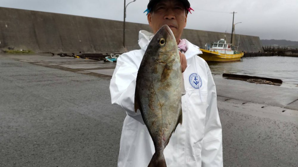 ９月２７日の釣果