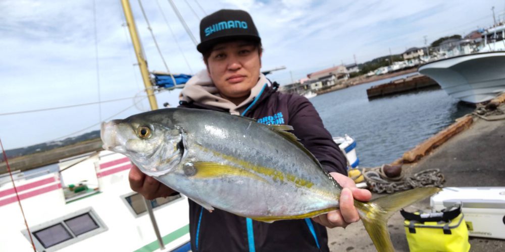 １０月３１日の釣果