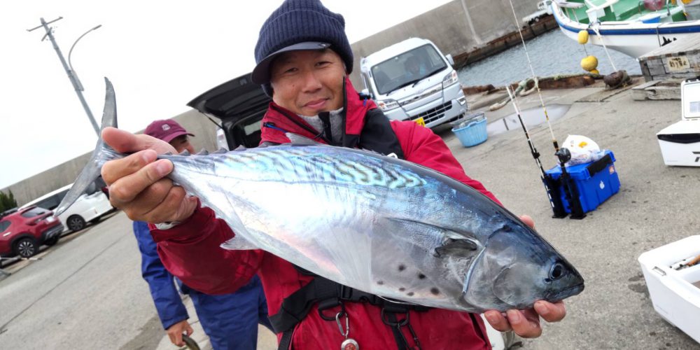 11月１６日の釣果