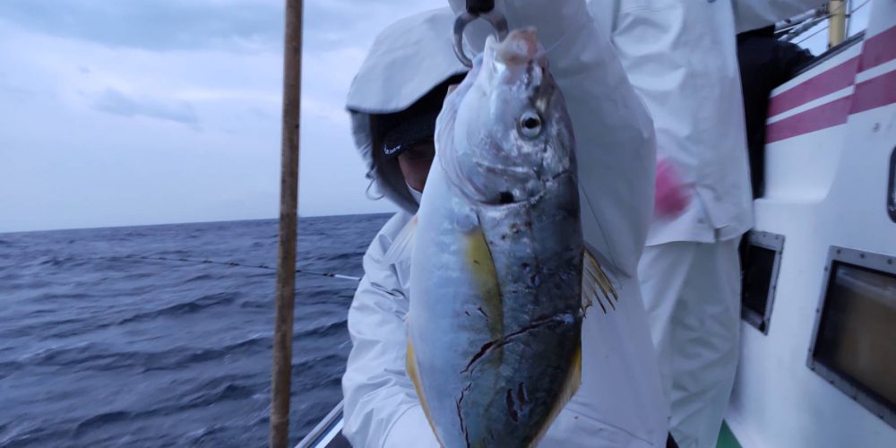 １月２５日の釣果