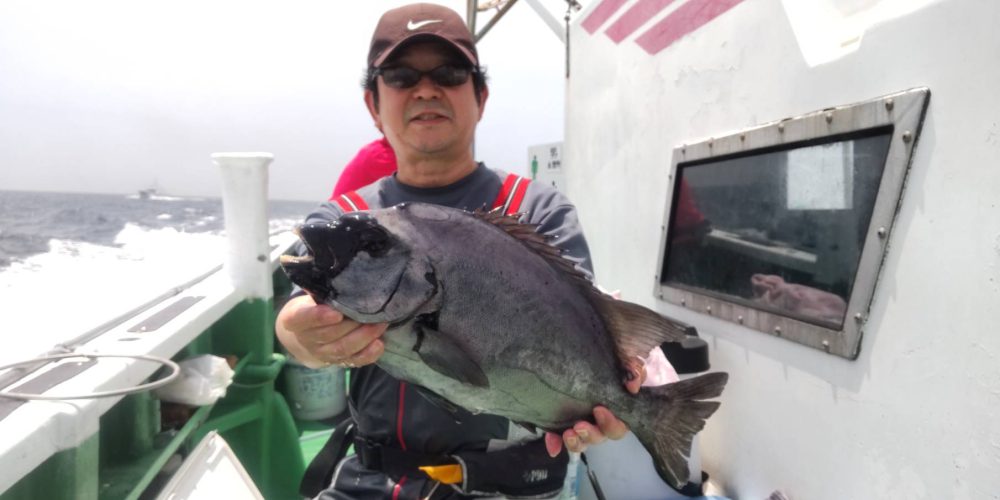 ６月６日の釣果