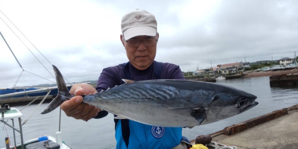 ６月２４日の釣果