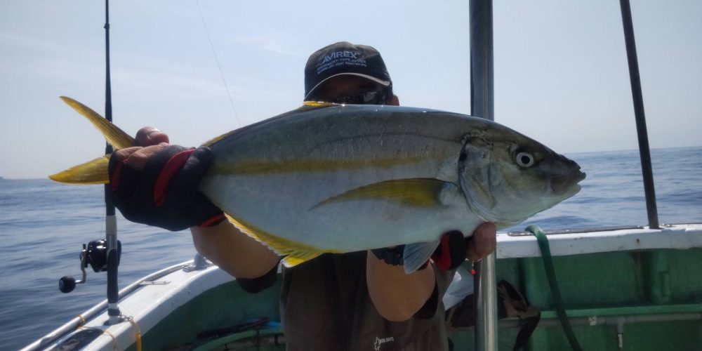 ８月３０日の釣果
