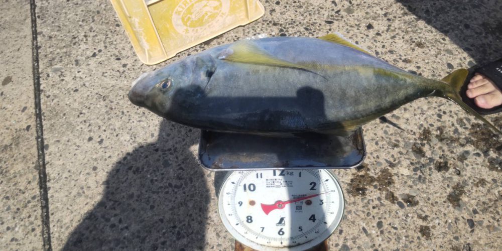 ９月２８日の釣果