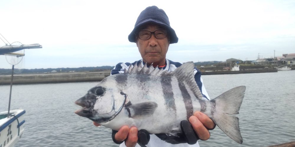 １０月３日の釣果