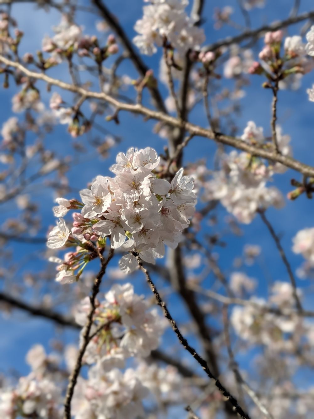 ４月６日の釣果
